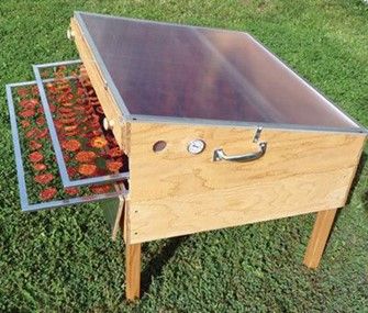 Solar food dryer