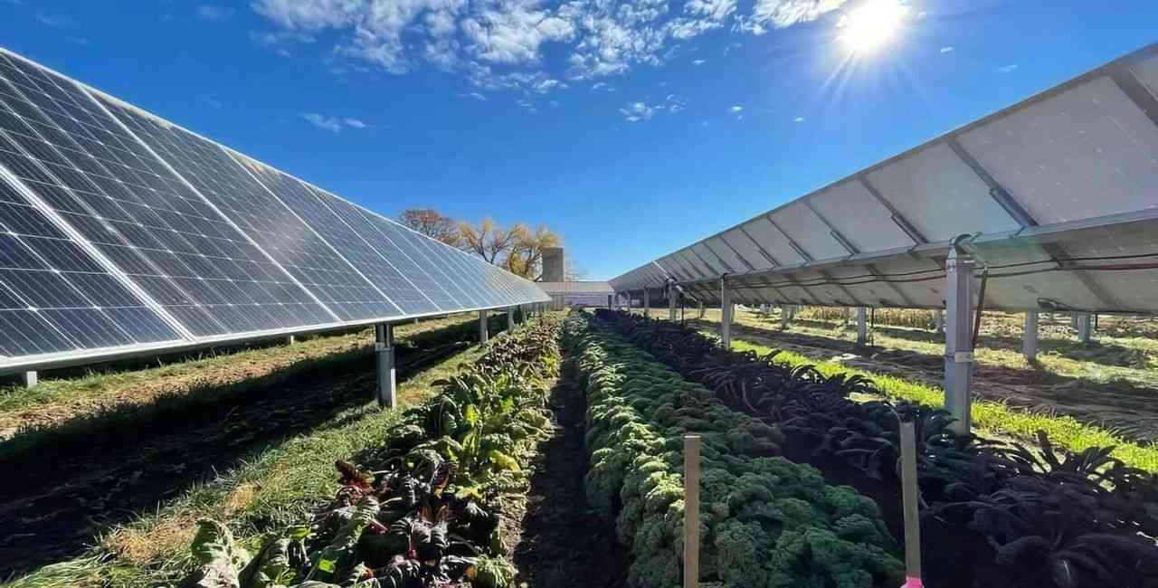 Benefits of Sustainable Greenhouse Farming