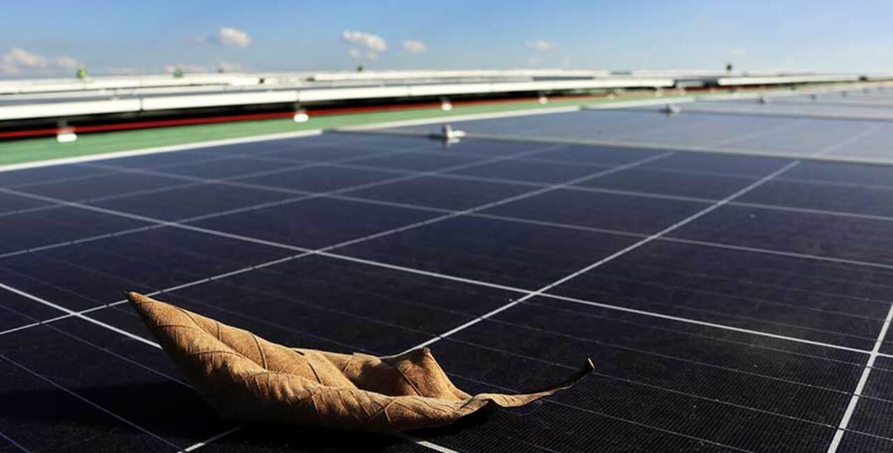 Factors Influencing Solar Business Profitability