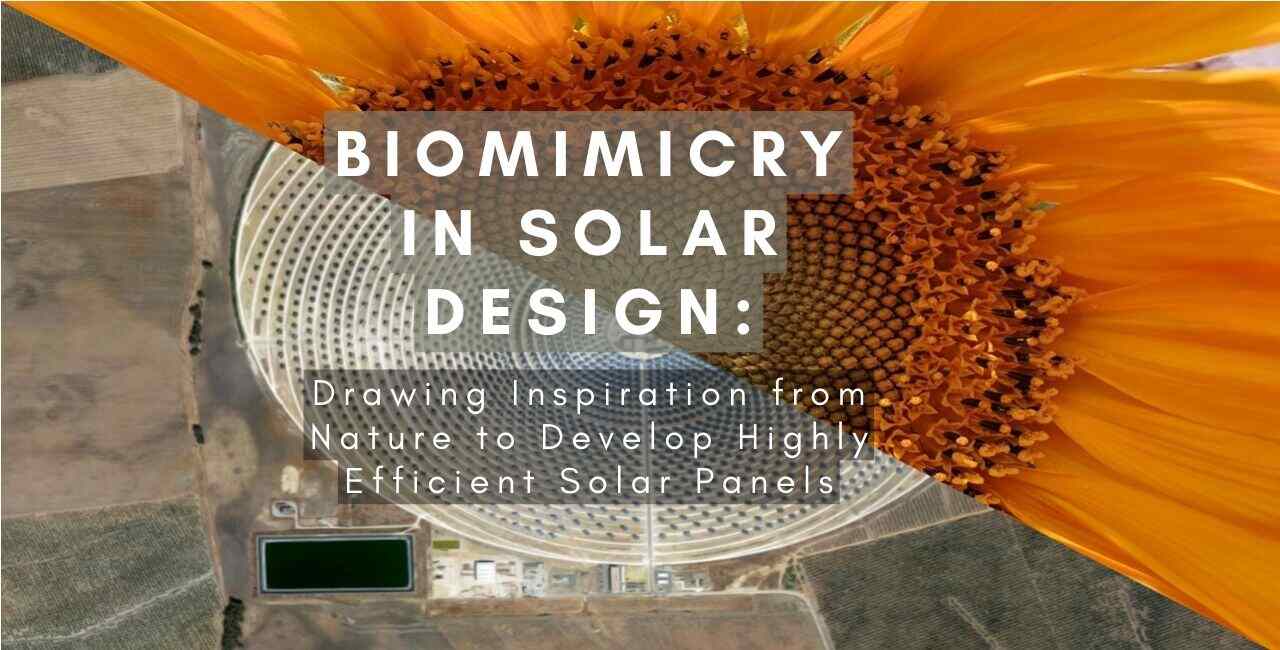 Biomimicry in Solar Design: Drawing Inspiration from Nature to Develop Highly Efficient Solar Panels