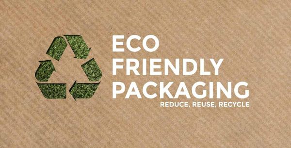 Eco-Friendly Packaging Solutions in Sustainable Manufacturing