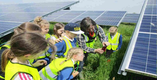 Best Practices for Solar Installations in US Schools and Educational Institutions